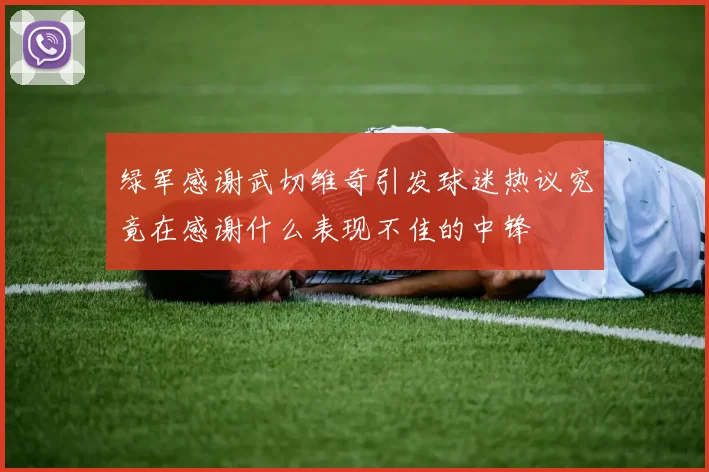 绿军感谢武切维奇引发球迷热议究竟在感谢什么表现不佳的中锋