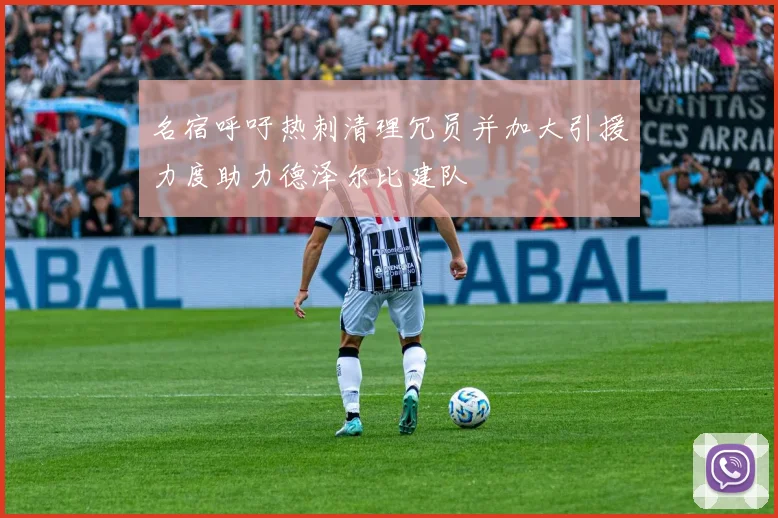名宿呼吁热刺清理冗员并加大引援力度助力德泽尔比建队